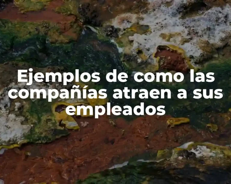 Ejemplos de como las compañías atraen a sus empleados