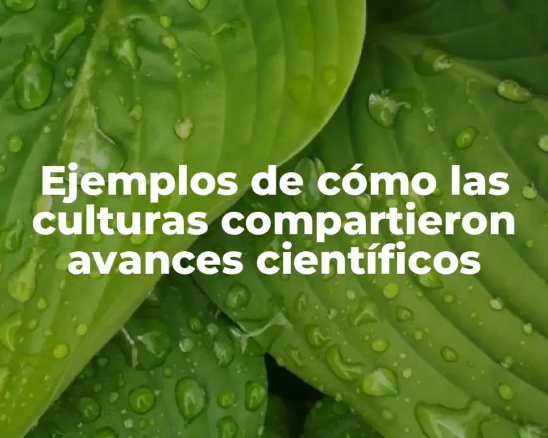 Ejemplos de cómo las culturas compartieron avances científicos