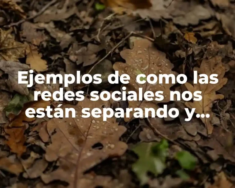 Ejemplos de como las redes sociales nos están separando y Significado