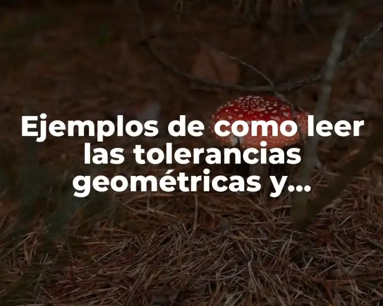 Ejemplos de como leer las tolerancias geométricas y Significado