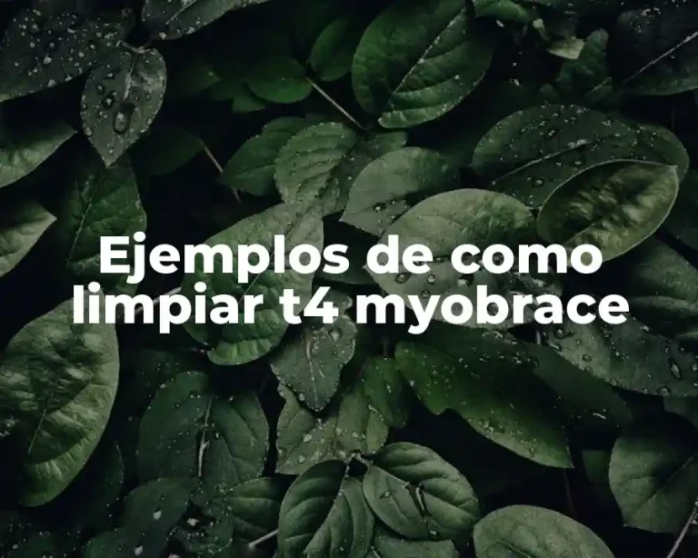 Ejemplos de como limpiar t4 myobrace
