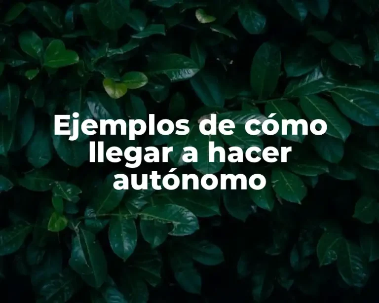 Ejemplos de cómo llegar a hacer autónomo