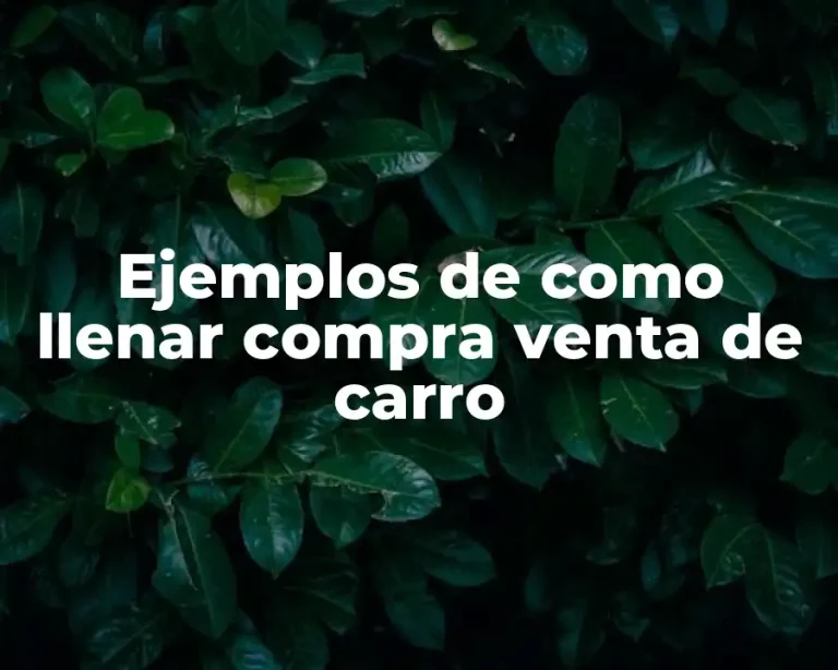 Ejemplos de como llenar compra venta de carro