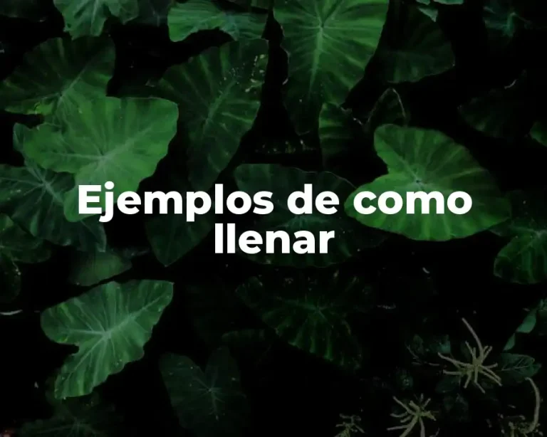 Ejemplos de como llenar