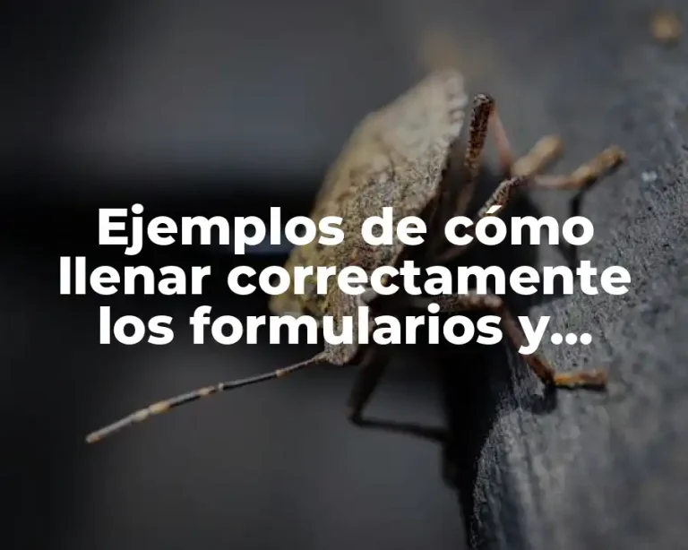 Ejemplos de cómo llenar correctamente los formularios y Significado