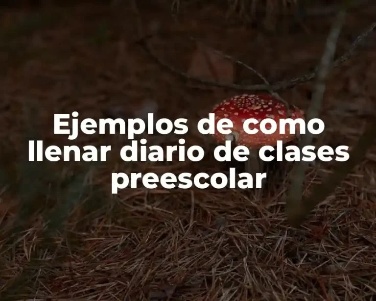Ejemplos de como llenar diario de clases preescolar