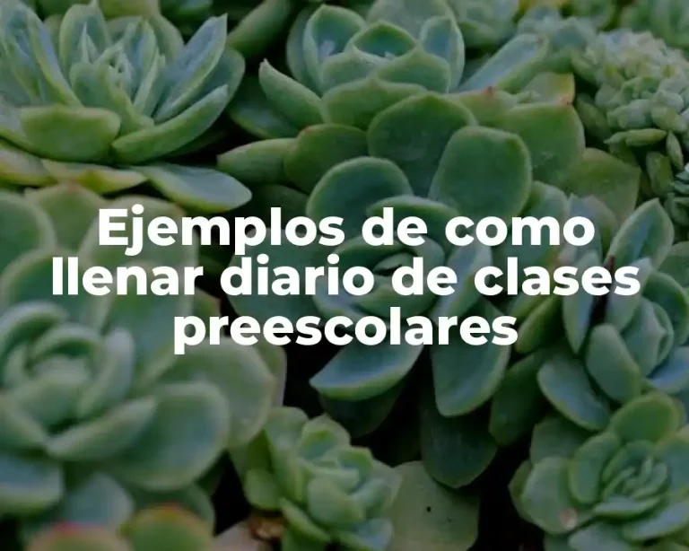 Ejemplos de como llenar diario de clases preescolares