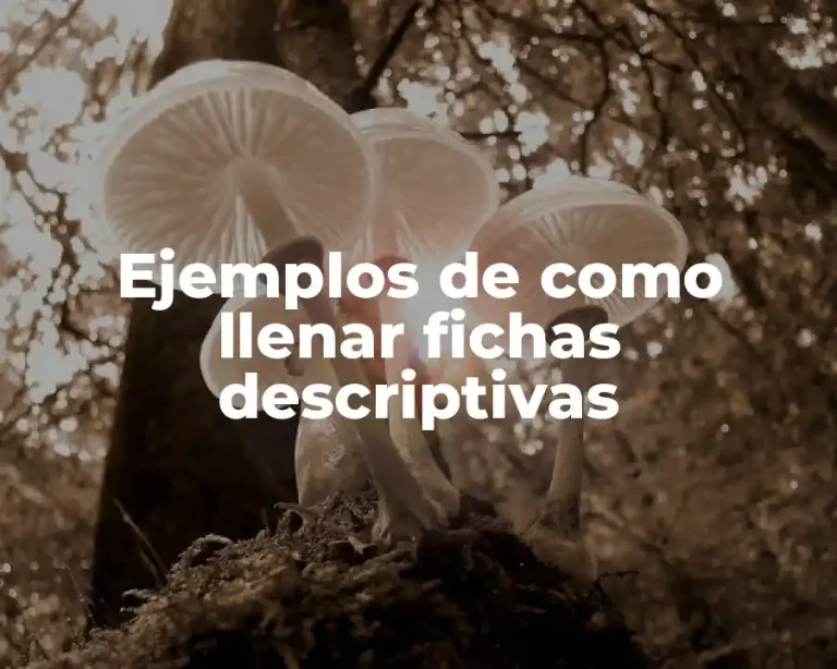 Ejemplos de como llenar fichas descriptivas