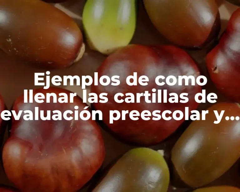 Ejemplos de como llenar las cartillas de evaluación preescolar y Significado