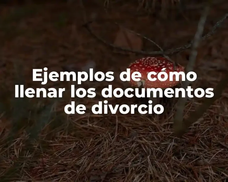 Ejemplos de cómo llenar los documentos de divorcio