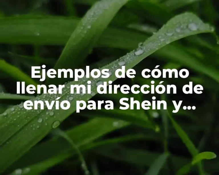 Ejemplos de cómo llenar mi dirección de envío para Shein y Significado