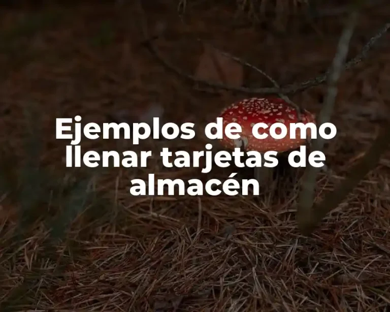 Ejemplos de como llenar tarjetas de almacén