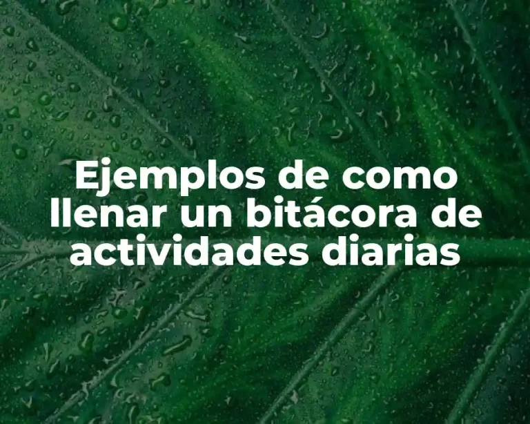 Ejemplos de como llenar un bitácora de actividades diarias
