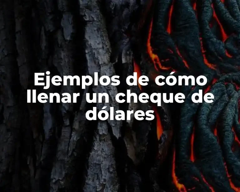 Ejemplos de cómo llenar un cheque de dólares