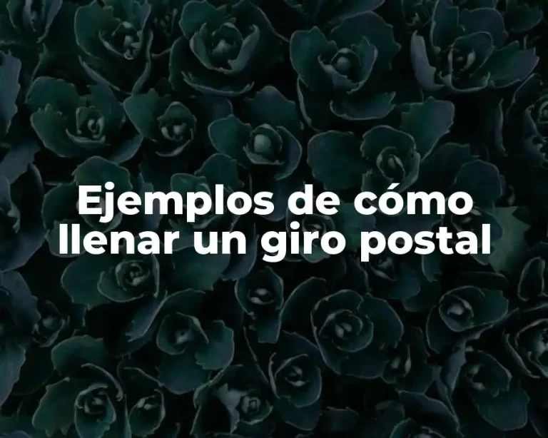 Ejemplos de cómo llenar un giro postal