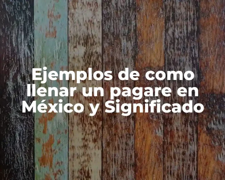 Ejemplos de como llenar un pagare en México y Significado