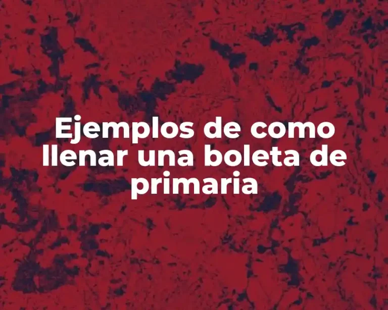 Ejemplos de como llenar una boleta de primaria