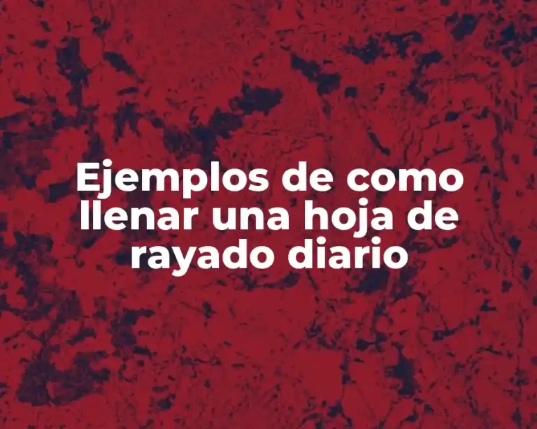 Ejemplos de como llenar una hoja de rayado diario
