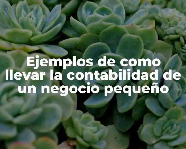 Ejemplos de como llevar la contabilidad de un negocio pequeño