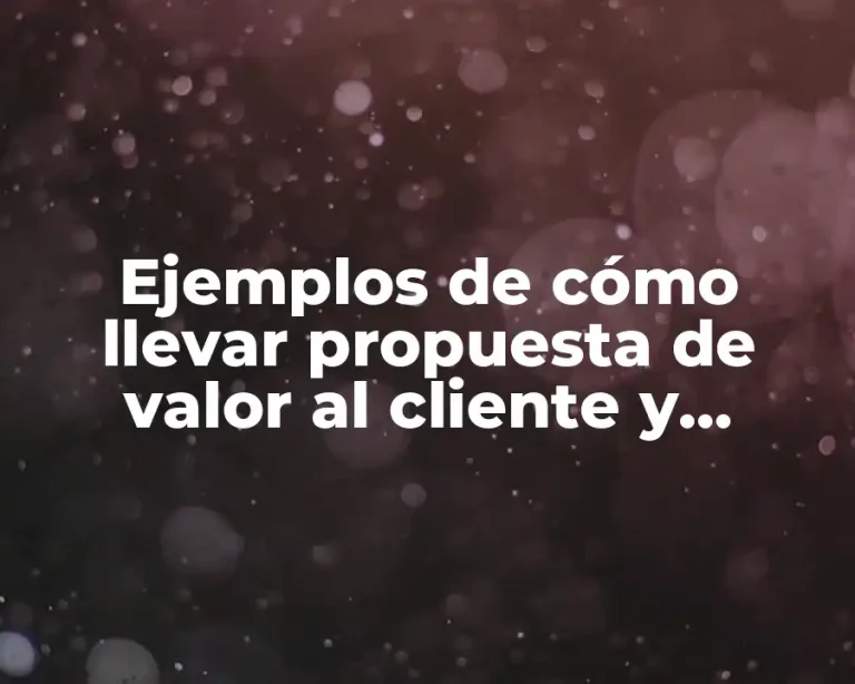Ejemplos de cómo llevar propuesta de valor al cliente y Significado