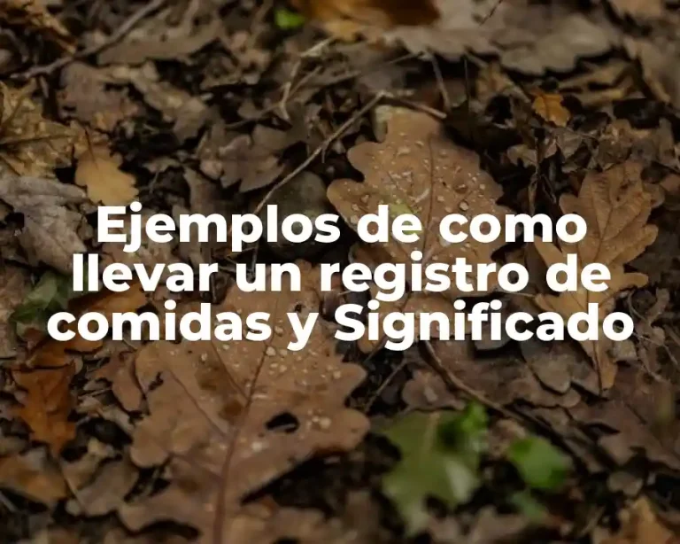 Ejemplos de como llevar un registro de comidas y Significado