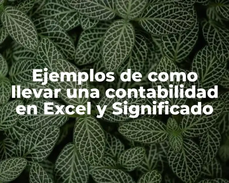 Ejemplos de como llevar una contabilidad en Excel y Significado