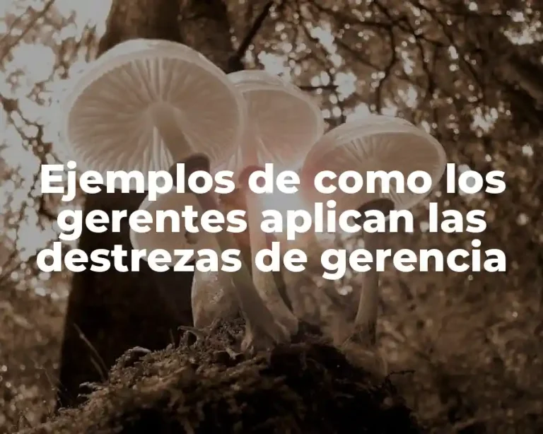 Ejemplos de como los gerentes aplican las destrezas de gerencia