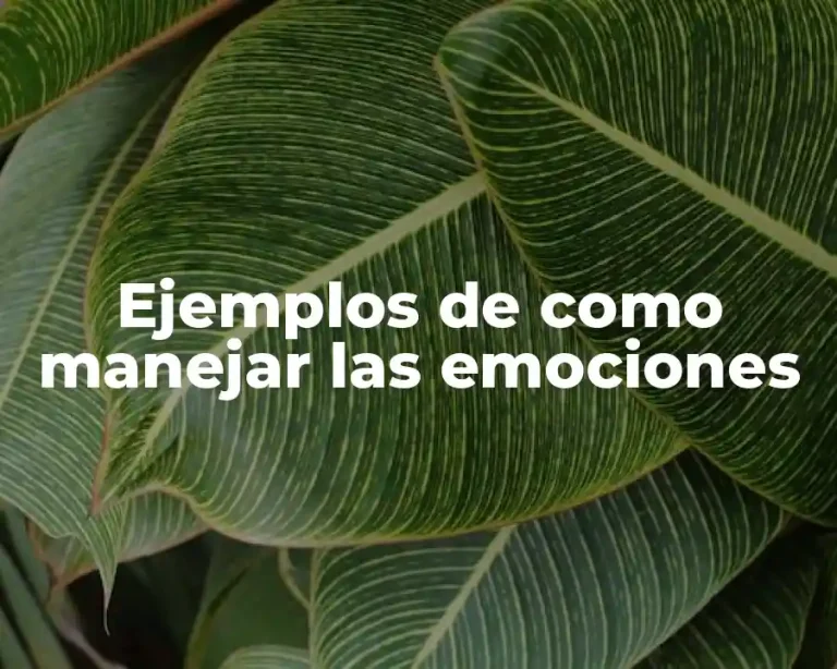 Ejemplos de como manejar las emociones