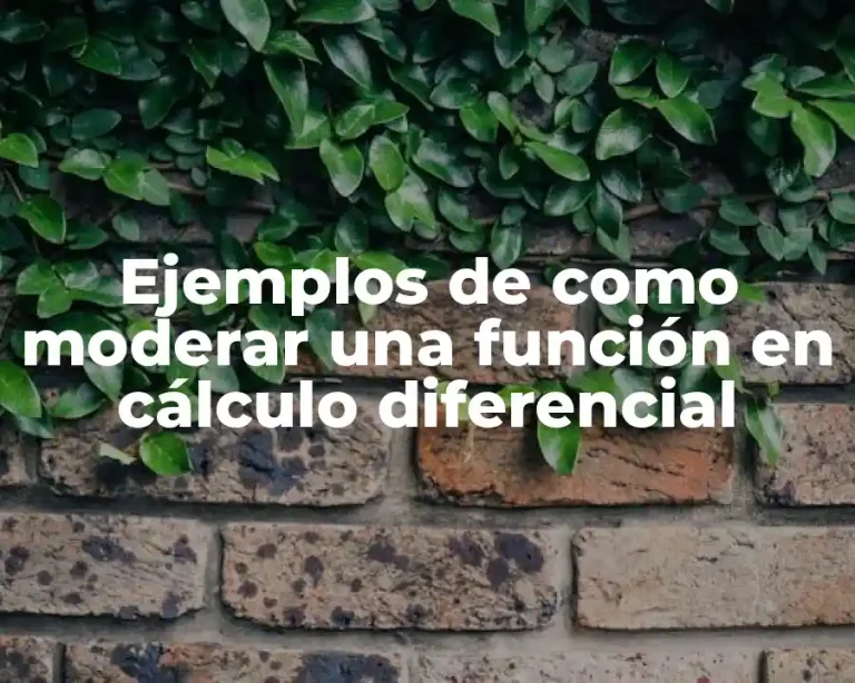 Ejemplos de como moderar una función en cálculo diferencial