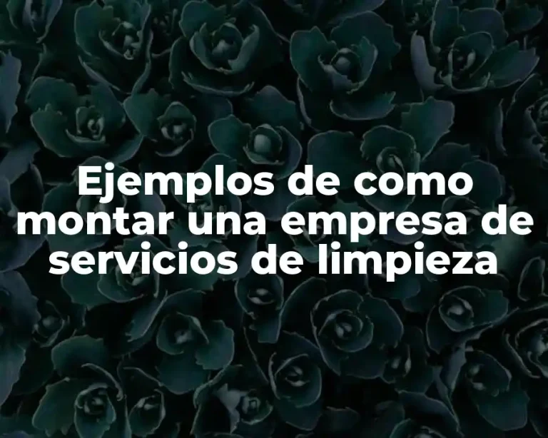 Ejemplos de como montar una empresa de servicios de limpieza