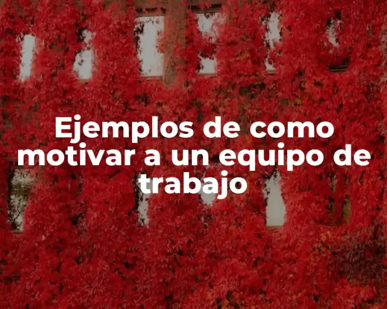 Ejemplos de como motivar a un equipo de trabajo