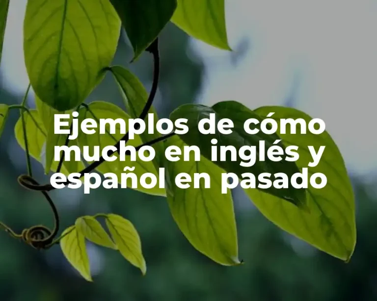 Ejemplos de cómo mucho en inglés y español en pasado