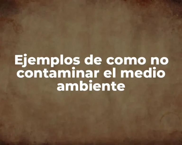 Ejemplos de como no contaminar el medio ambiente