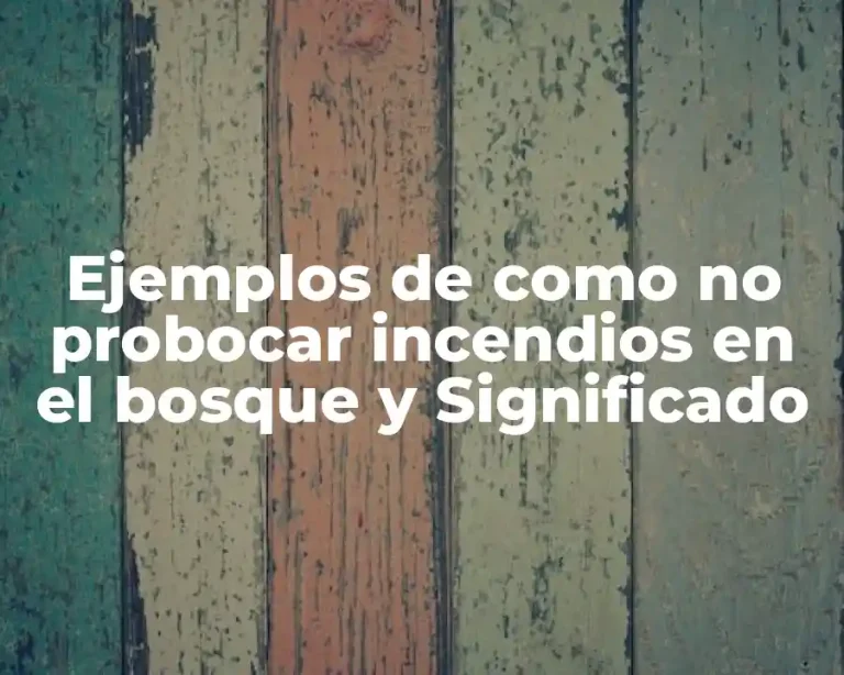 Ejemplos de como no probocar incendios en el bosque y Significado