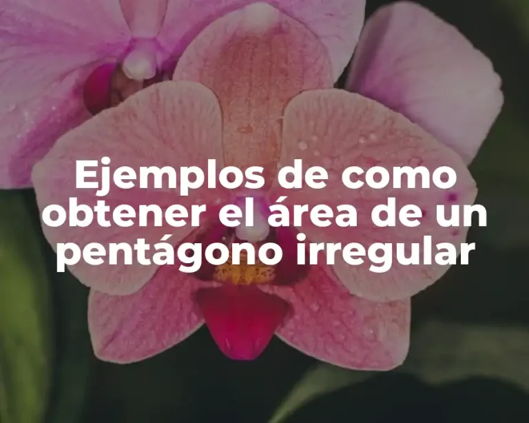 Ejemplos de como obtener el área de un pentágono irregular