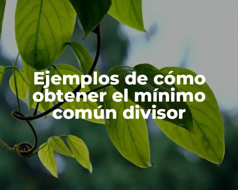 Ejemplos de cómo obtener el mínimo común divisor