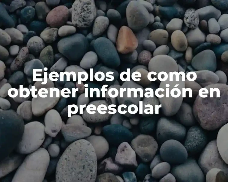Ejemplos de como obtener información en preescolar