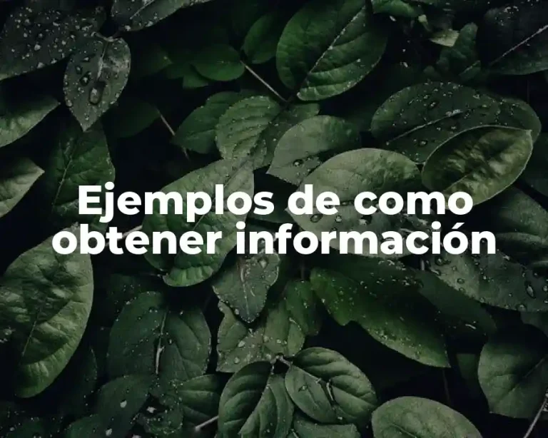 Ejemplos de como obtener información