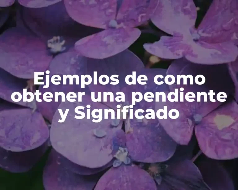 Ejemplos de como obtener una pendiente y Significado