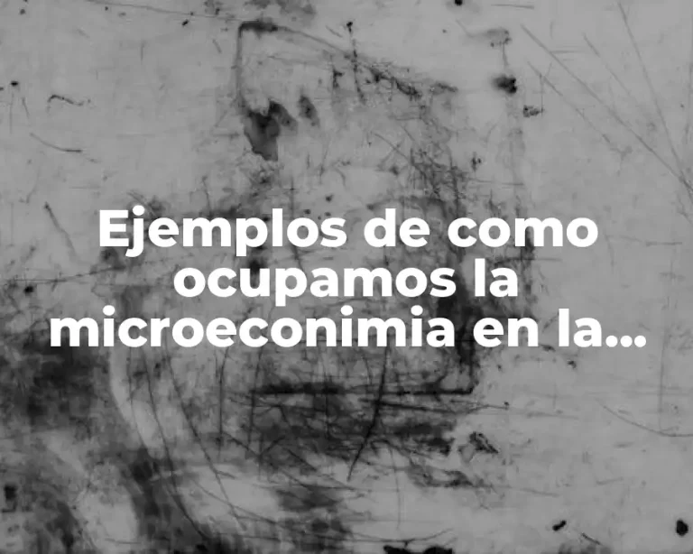 Ejemplos de como ocupamos la microeconimia en la vida diaria