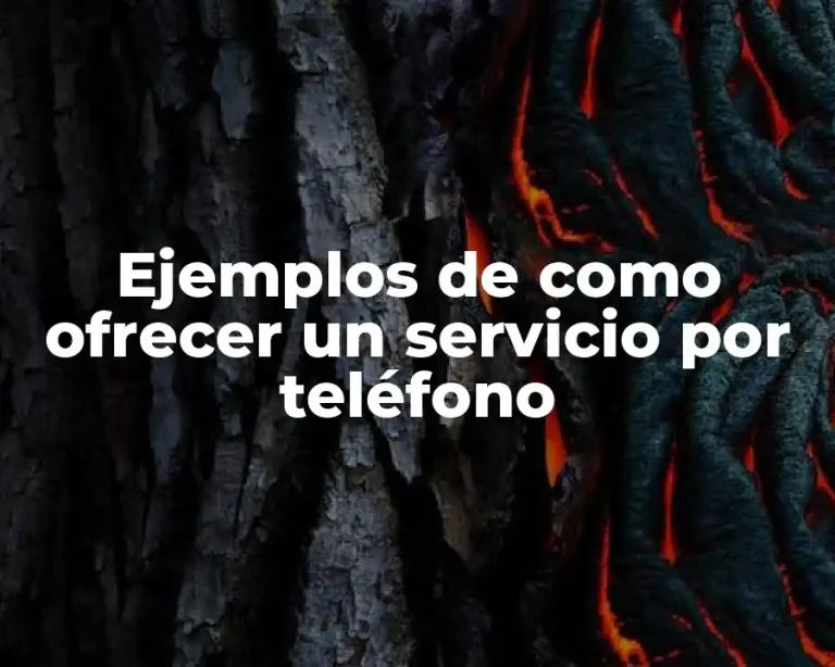 Ejemplos de como ofrecer un servicio por teléfono