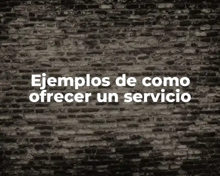 Ejemplos de como ofrecer un servicio