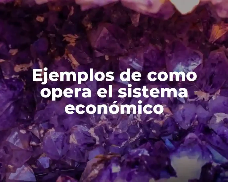 Ejemplos de como opera el sistema económico