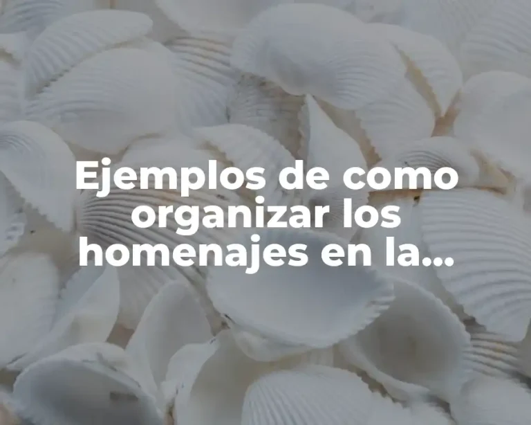 Ejemplos de como organizar los homenajes en la escuela