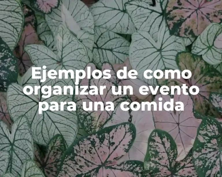Ejemplos de como organizar un evento para una comida