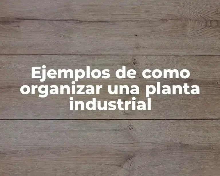 Ejemplos de como organizar una planta industrial
