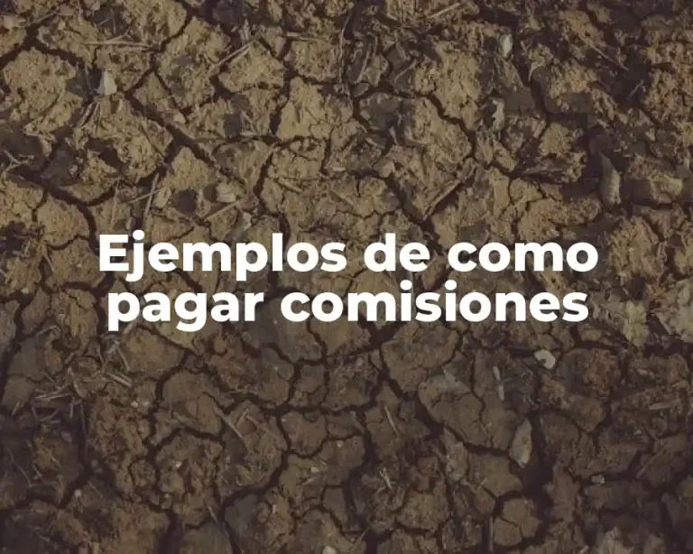 Ejemplos de como pagar comisiones