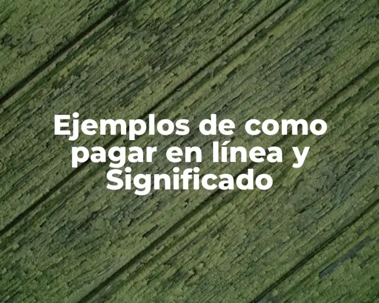 Ejemplos de como pagar en línea y Significado