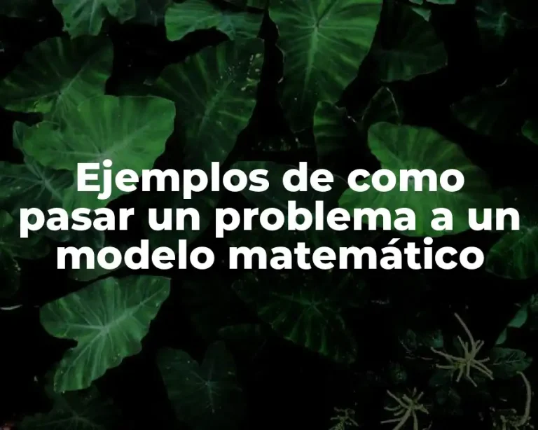 Ejemplos de como pasar un problema a un modelo matemático