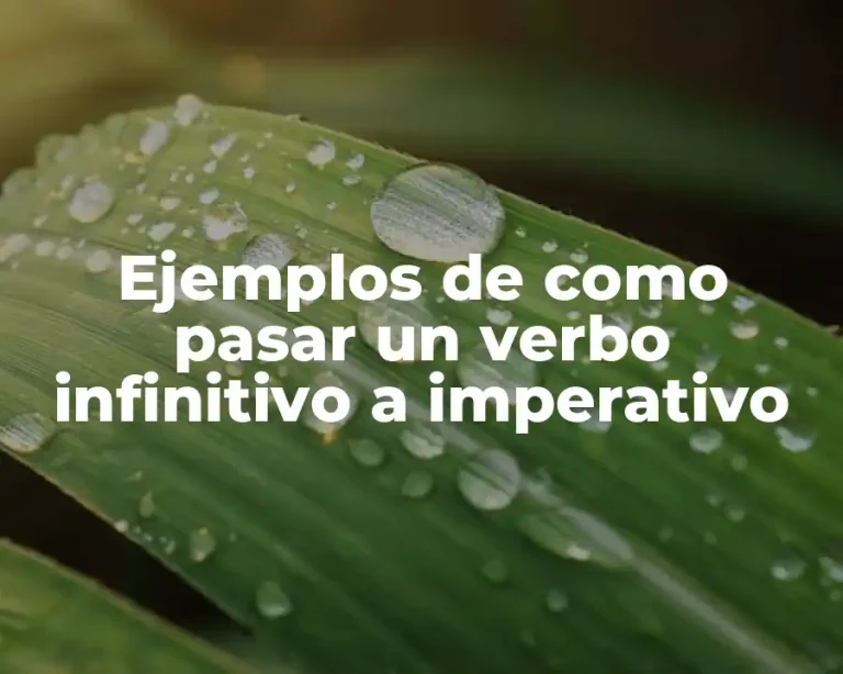 Ejemplos de como pasar un verbo infinitivo a imperativo